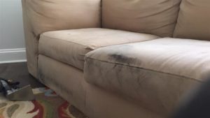 Upholstery cleaning The Hills