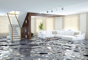 Water damage restoration The Hills